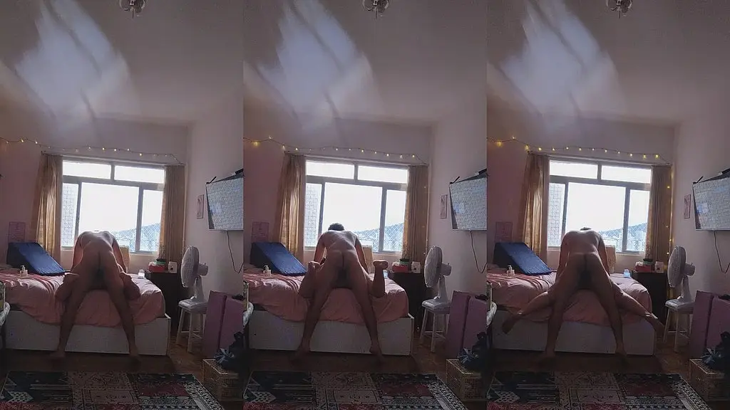 gozando dentro da prostituta no pelo