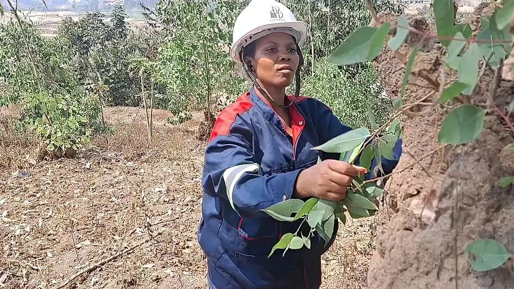 co woker escape from the job she went to finger herself in the bush
