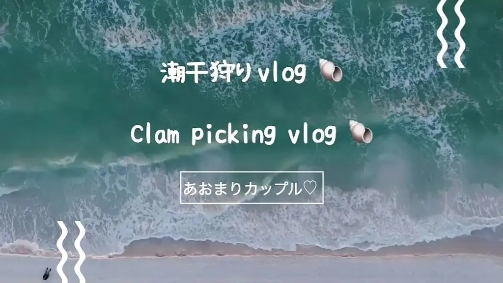 【vlog】潮干狩りvlog- 海ほたるで海鮮丼-大量のアサリを大収穫デート-最後はとある場所に...
