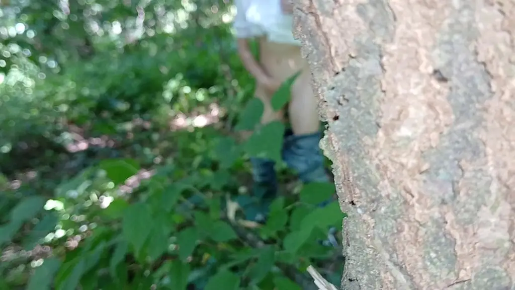 i caught a stranger masturbating in the woods and started spying on her