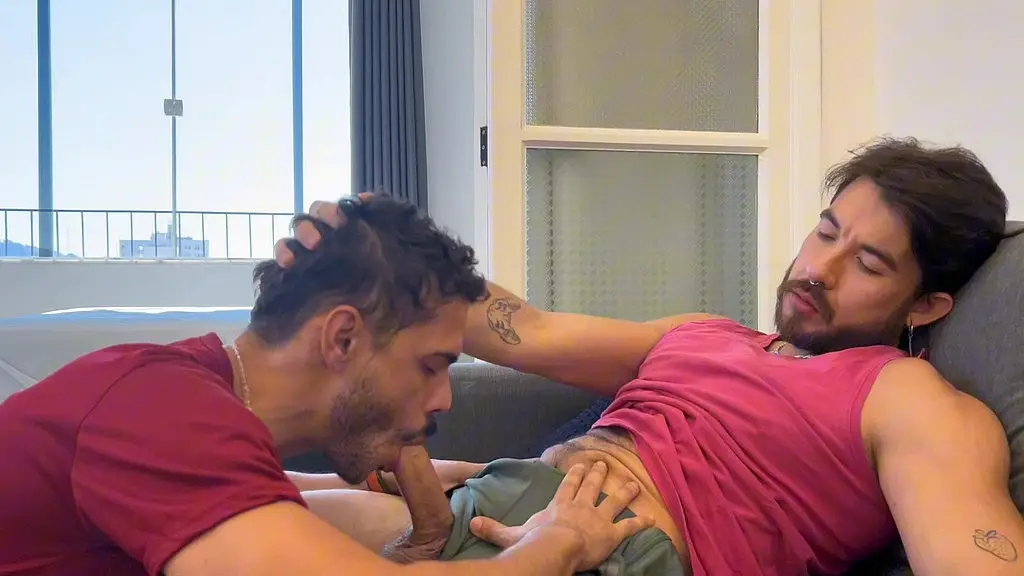 esfolei o cu do padrao