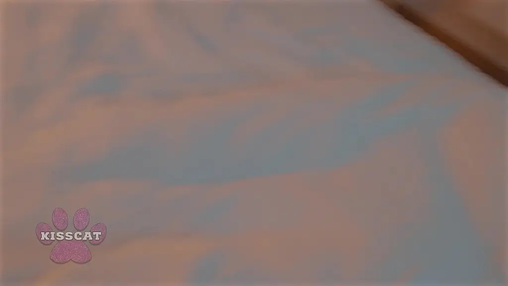 only one bed in the hotel room! step dad talks his step daughter into staying the night