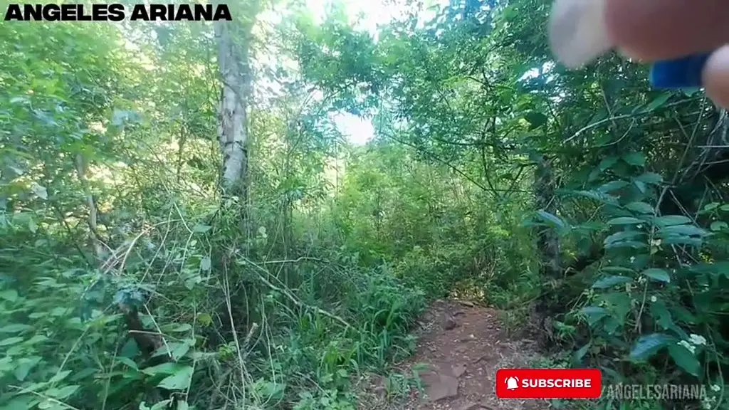 vacaciones de primavera con mi hijastra y su novio. mientras haciamos trekking en iguazu misiones, nos cruzamos con un lugareno. sexo al aire libre con un desconocido, en salto mariposa