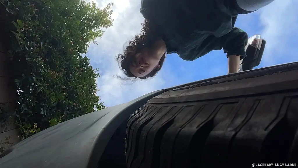i found a teeny guy stuck in my van tire