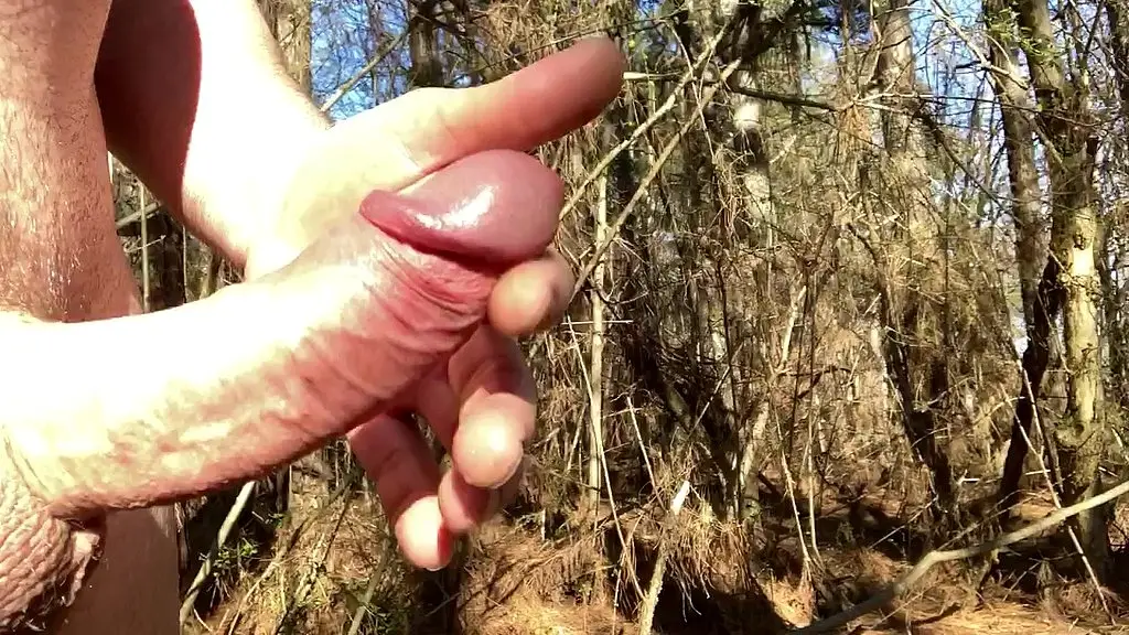 busted 1