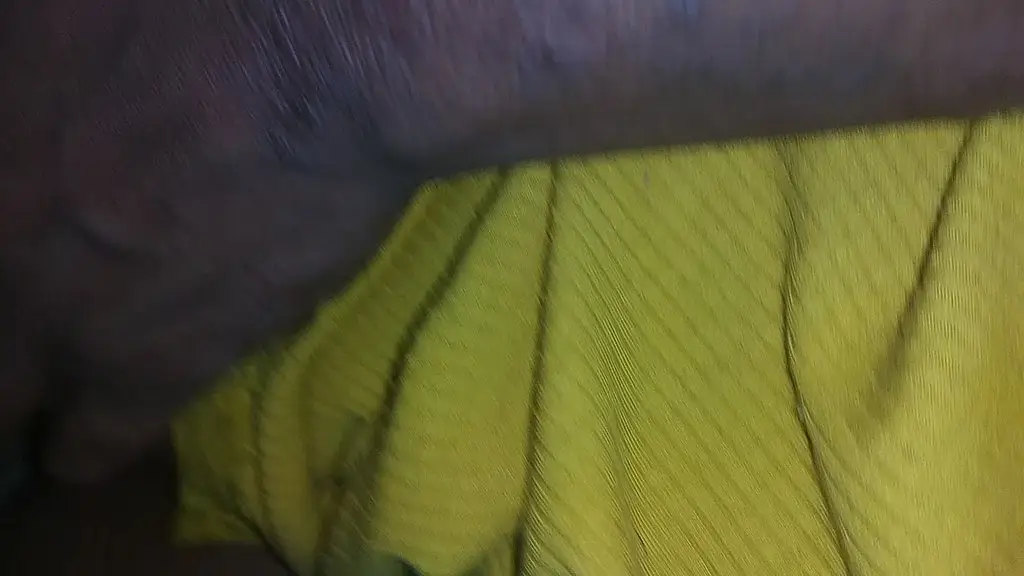 play with this wet pussy & ass